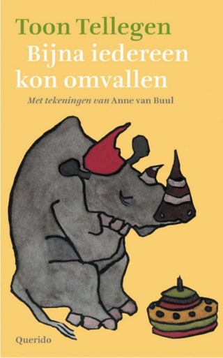 Omslag van Bijna iedereen kon omvallen