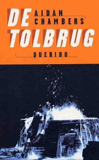 Omslag van De tolbrug