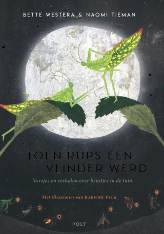Omslag van Toen Rups een vlinder werd